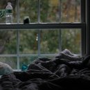 제이래빗 이미지