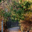 광덕산근린공원 이미지