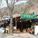 초가정담 Daum카페