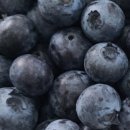 구례농장 이미지