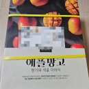 영광농장 | 전남 영광 망고야 농장 애플망고 주문 솔직후기