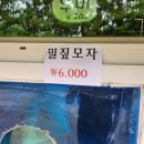 청산닭집 - 당진시 시장중앙길 94 | 청산닭집