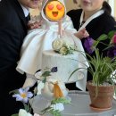 모드니장식 | 웨스틴조선부산 1월 돌잔치 후기(바이더루밍▪️ 아데쏘스냅▪️호이스냅▪️아뜰리에모드니▪️까밀리아 뷔페)