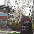 서울대공원 둘레길 나홀로 산행[16.4/13 수 선거일] 이미지