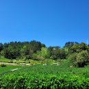 (주)그린기프트 경기