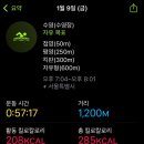 (주)돌핀수영 이미지