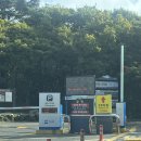 서호동-45 | 한라산 윗세오름 영실코스 등산(소요시간, 주차, 필수준비물 등)