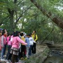 위림초등학교 이미지