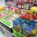 코리아애견샵 이미지