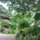 다그라스통나무민박 이미지