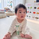 우정덴탈 | 아기불소치약) 맵지 않아 6개월 아기도 사용 가능한 ‘이리쁘띠(Cavity) 재광화 치약’