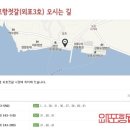 강화외포항젓갈(외포3호) 이미지