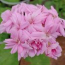 솔터농장 이미지