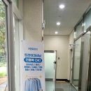 크린토피아동패초롱꽃 이미지