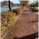 (주)아주의대벤처메딕스 | 증시요약 2024년 11월 13일 수요일