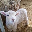 남해관광안내소 이미지