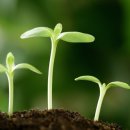 자유하는 이미지