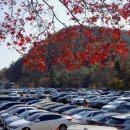 용문사 대형주차장 이미지