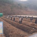 흥선농장 이미지