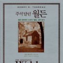 월든 - 춘천시 노루목길 11-6 | 월든
