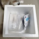 네츄럴트리트 이미지