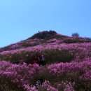 영취산봉수 이미지