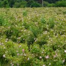 송기농장 이미지