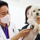 담양군반려유기동물공공진료소