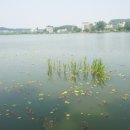 화성(서울) 이미지