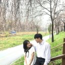 썸원(Some one) | 벚꽃스냅 추천_ 썸원 필름