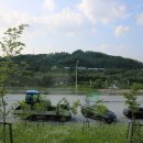 산호빛공원(2) 이미지