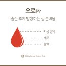 오로 네이버블로그