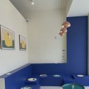 동물병원 비헤이브 네이버블로그