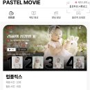 동영상 제작 | 돌잔치 성장영상 제작 파스텔무비 셀프 동영상 후기 (무료 쿠폰 공유)