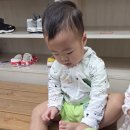띠띠빵빵