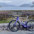 천도로 가로수길 이미지