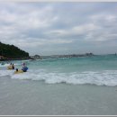 산호관광 Daum카페