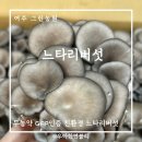 여주-0780 이미지
