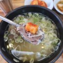 양지-22 | [독산동 맛집]내 맘속 1위 진영면옥 평양냉면, 양지곰탕, 녹두전 내돈내산 후기