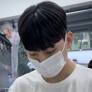 미니크헤어