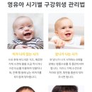 병아리소아치과