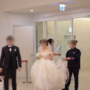내돈내산 대전 로와스튜디오 결혼식 본식 촬영 후기🤵👰‍♀️