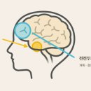 뉴로아트
