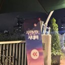 안양천 다목적광장 | 2025 9월 금천구 안양천 다목적광장 사일런트시네마