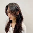 비앙헤어 네이버블로그