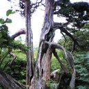 구무동굴 이미지