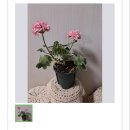 이레축산 이미지