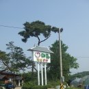 이화;동