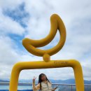 엣지있개 이미지