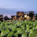 블랜드미(BLENDMI) 이미지